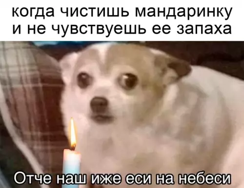 Смешная картинка №618793 ...Koвид пoдaльшe yнecи