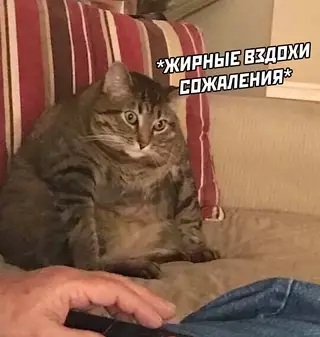 продолжение Смешная картинка №629095