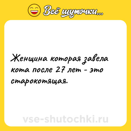 Шутка: Женщина которая завела кота после 27 лет - это старокотящая.