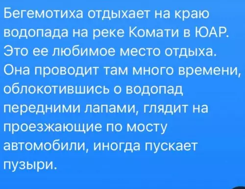 продолжение Смешная картинка №641656 Вот это жизнь