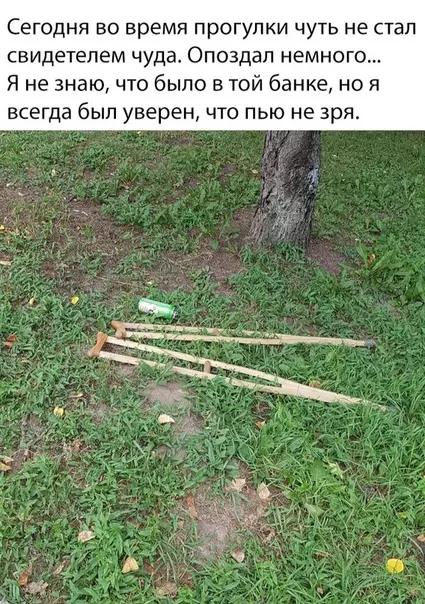 Смешная картинка №354883