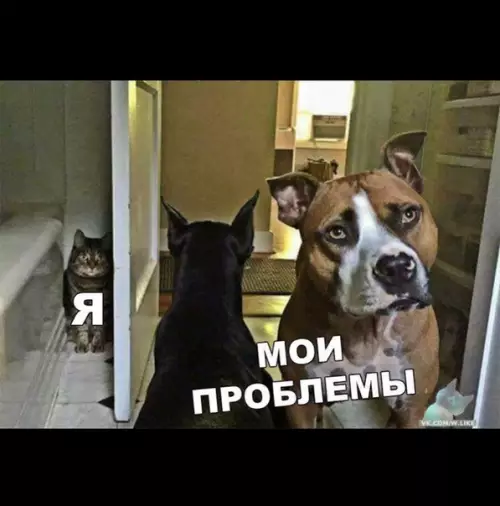 Смешная картинка №362765
