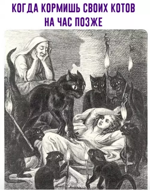 Смешная картинка №640047