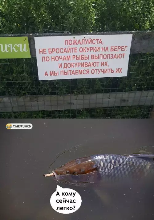 Смешная картинка №693448