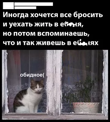 Смешная картинка №760079