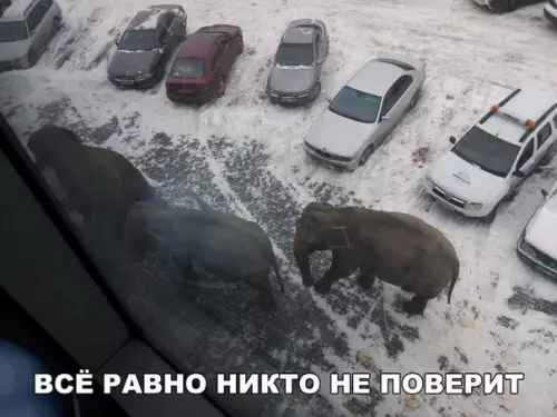 Смешная картинка №251704