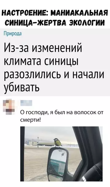 Смешная картинка №330610