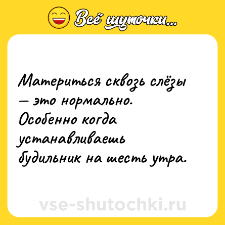 Шутка: Материться сквозь слёзы — это нормально. Особенно когда устанавливаешь будильник на шесть утра.