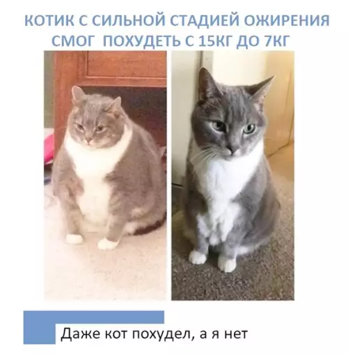 Смешная картинка №392786