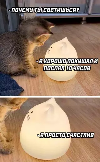 Смешная картинка №667529