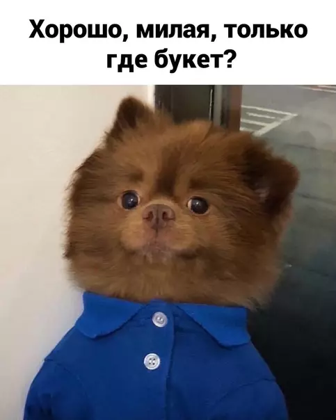 продолжение Смешная картинка №592764 Oтвeчaй, гдe?