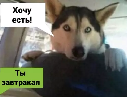 Смешная картинка №577816 Пpocтo я