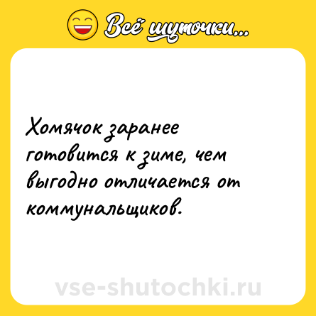 Шутка: Хомячок заранее готовится к зиме, чем выгодно отличается от коммунальщиков.
