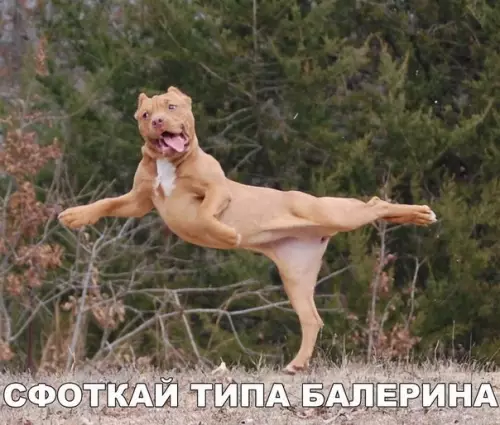 Смешная картинка №186374