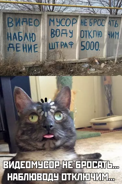 Смешная картинка №492517 показалось, объявления