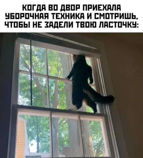 Смешная картинка №684714