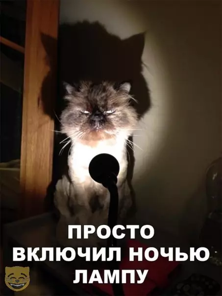 Смешная картинка №321738