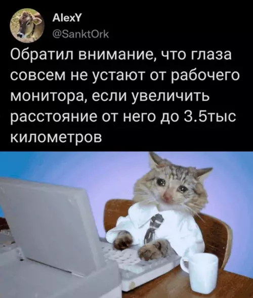 Смешная картинка №686922