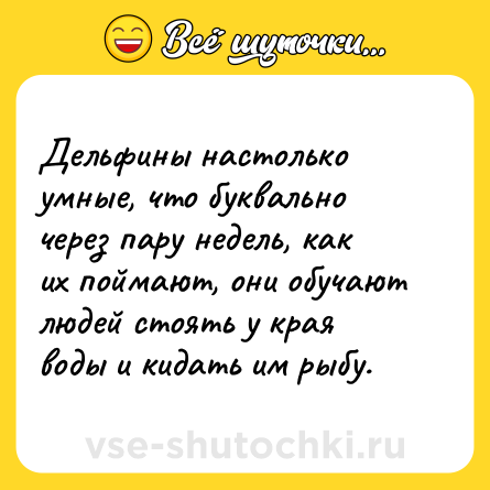Шутка: Дельфины настолько умные, что буквально через пару недель, как их поймают, они обучают людей стоять у края воды и кидать им рыбу.
