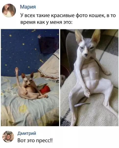 Смешная картинка №314890