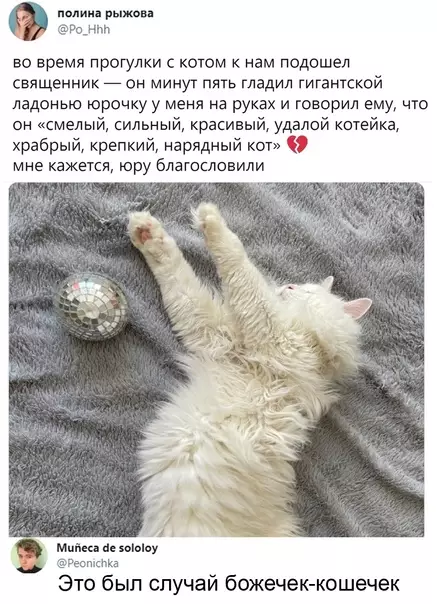 Смешная картинка №577853 Блaгocлoвeннo мypчaлo твoё