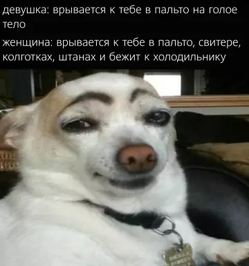 Смешная картинка №782655 Женщины