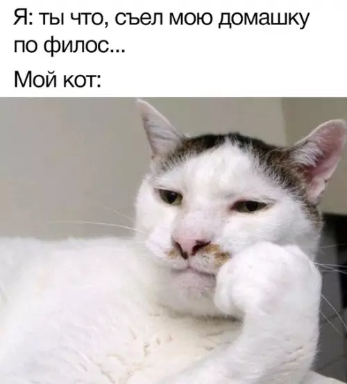 Смешная картинка №371277