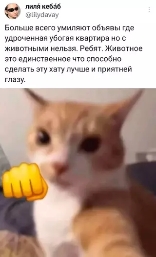 Смешная картинка №715914
