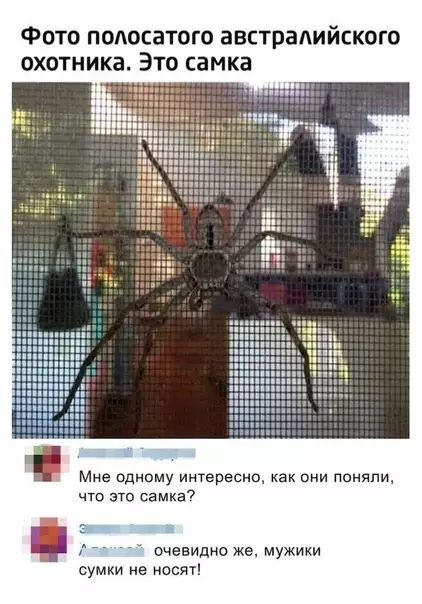 Смешная картинка №482553