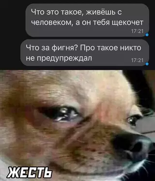Смешная картинка №662911