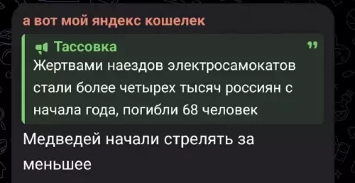 Самокаты против выживания 🛴💀 - а вот мой яндекс кошелек Тассовка Жертвами наездов электросамокатов стали