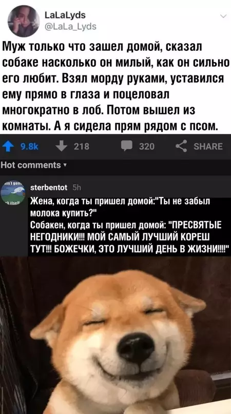 Смешная картинка №658748 собаки, жена