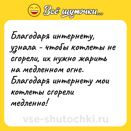 Шутка: Благодаря интернету, узнала - чтобы котлеты не сгорели, их нужно жарить на медленном огне. Благодаря интернету мои котлеты сгорели медленно!