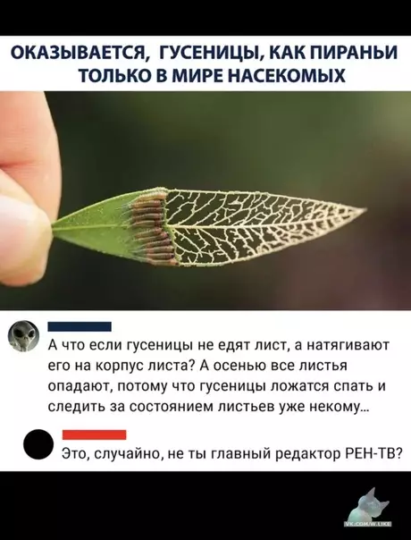 Смешная картинка №379620