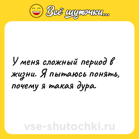 Шутка: У меня сложный период в жизни. Я пытаюсь понять, почему я такая дура.
