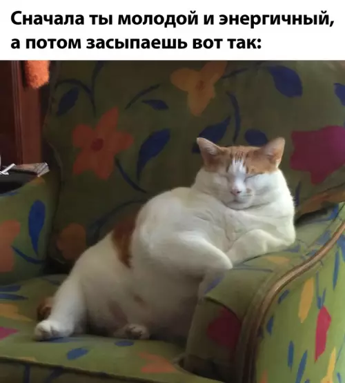 Смешная картинка №712928
