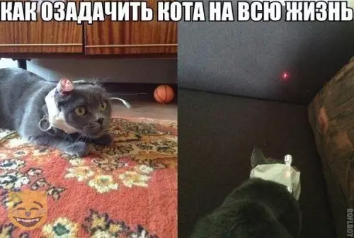 Смешная картинка №328468