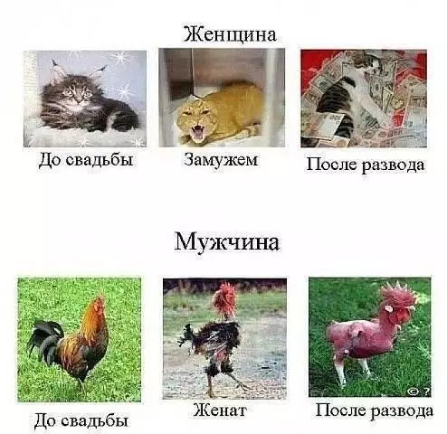 Смешная картинка №394229