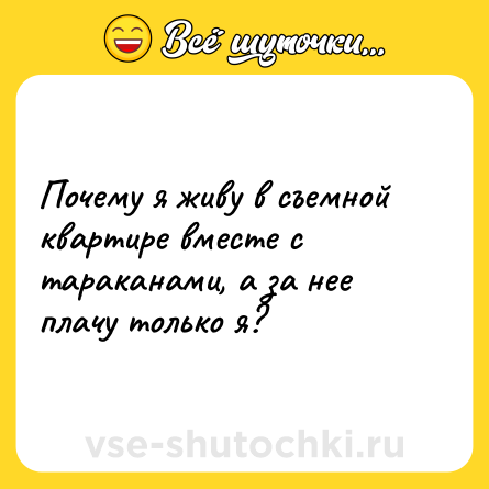 Шутка: Почему я живу в съемной квартире вместе с тараканами, а за нее плачу только я?