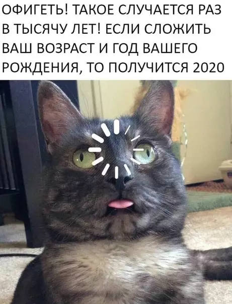 Смешная картинка №451097 Невероятно!