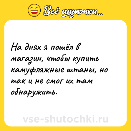 Шутка: На днях я пошёл в магазин, чтобы купить камуфляжные штаны, но так и не смог их там обнаружить.