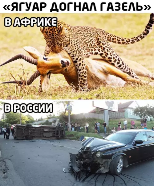 Смешная картинка №489709