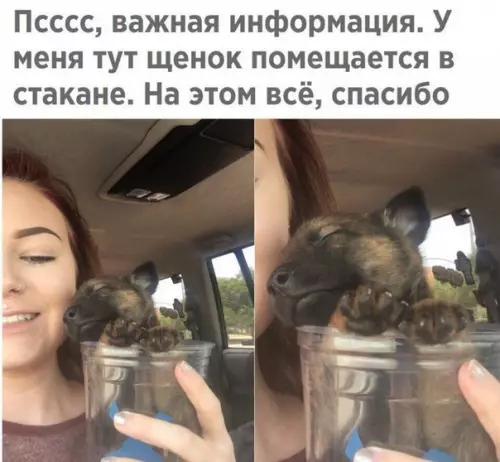 Смешная картинка №241396