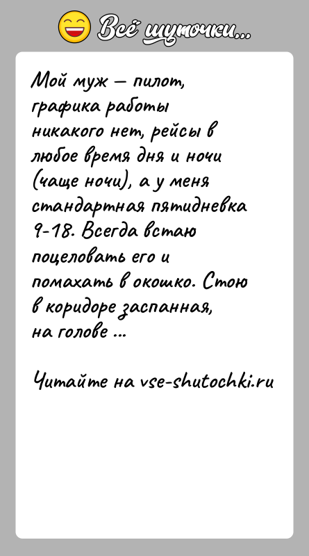 История: Мой муж пилот, графика работы никакого нет, рейсы в любое время дня и ночи (чаще ночи), а у меня