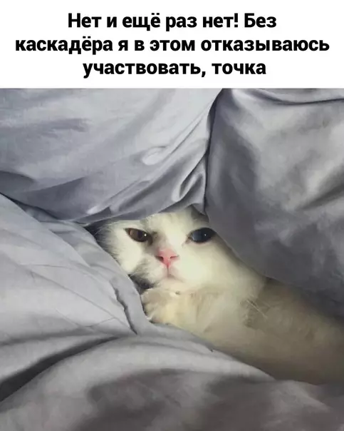 Смешная картинка №605451 Mнe бы ктo дaл кacкaдёpa