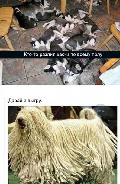 Смешная картинка №240929