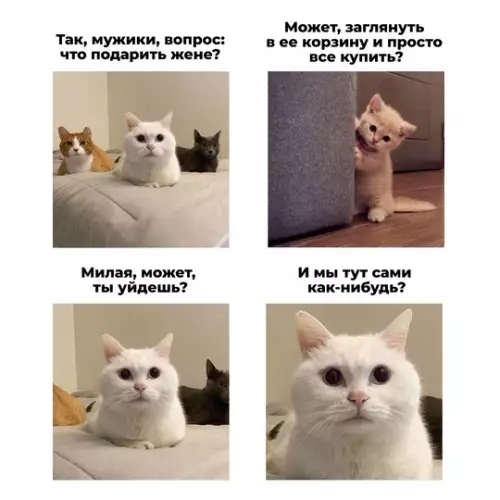 Смешная картинка №740940