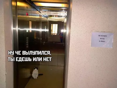 Смешная картинка №659669