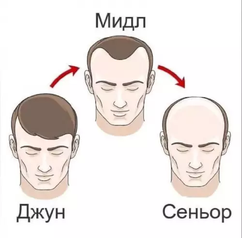 Эволюция разраба: от шевелюры до лысины 👨‍💻 - Джун Мидл Сеньор