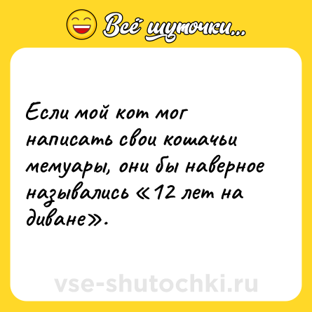 Шутка: Если мой кот мог написать свои кошачьи мемуары, они бы наверное назывались «12 лет на диване».